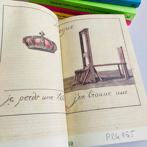 Decapitated Economies (intercalations 05), edited by Anna-Sophie Springer & Etienne Turpin, K. Verlag & Haus der Kulturen der Welt, 2025