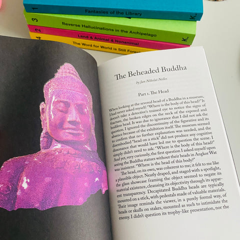 Jan Nikolai Nelles in: Decapitated Economies (intercalations 05), edited by Anna-Sophie Springer & Etienne Turpin, K. Verlag & Haus der Kulturen der Welt, 2025