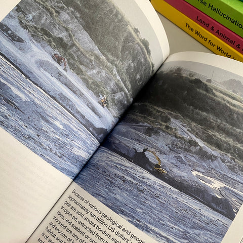 Michaela Büsse in: Decapitated Economies (intercalations 05), edited by Anna-Sophie Springer & Etienne Turpin, K. Verlag & Haus der Kulturen der Welt, 2025