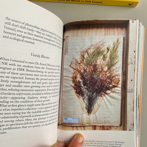 Anna-Sophie Springer in: Decapitated Economies (intercalations 05), edited by Anna-Sophie Springer & Etienne Turpin, K. Verlag & Haus der Kulturen der Welt, 2025