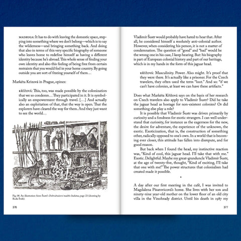 Decapitated Economies