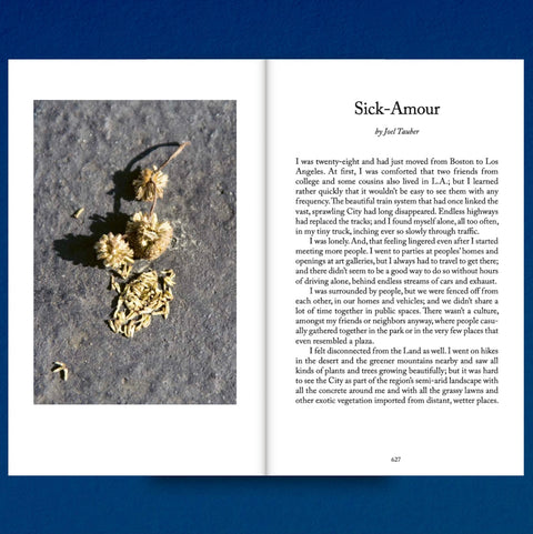 Decapitated Economies