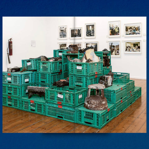 Decapitated Economies