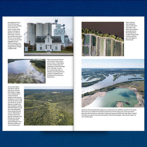 Decapitated Economies