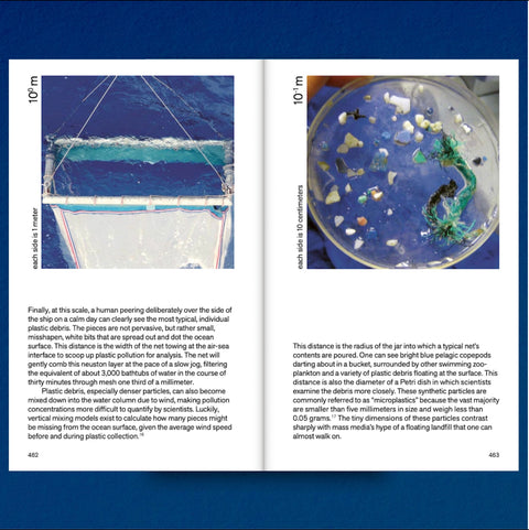 Decapitated Economies