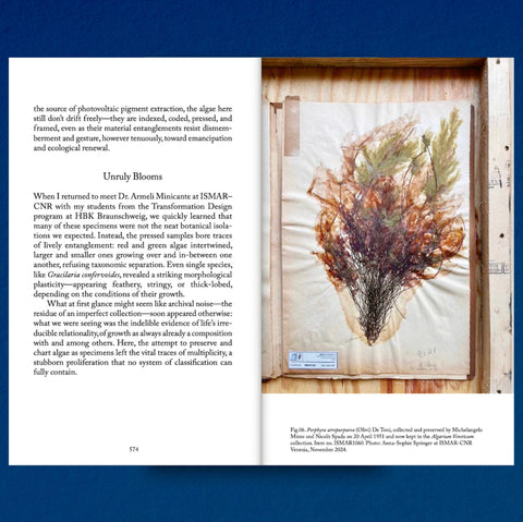 Decapitated Economies